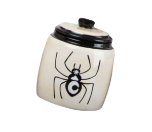 Costa Rica Celestial Spider Jar